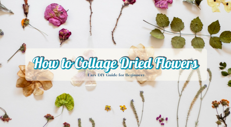 How To Collage Dried Flowers For Creative And Lasting Designs