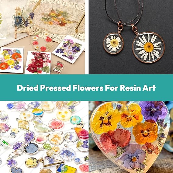 Resiners® 58Pcs Dried Pressed Flowers