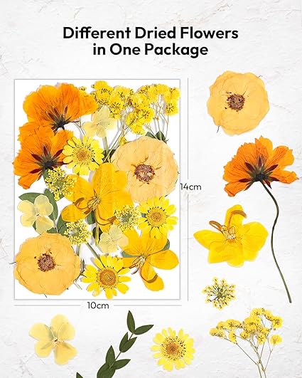 Resiners® 200Pcs Dried Pressed Flowers