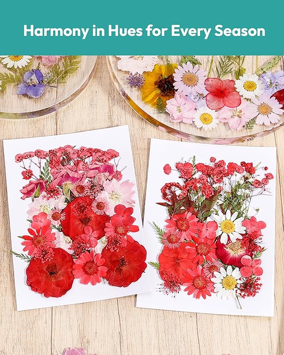 Resiners® 58Pcs Dried Pressed Flowers