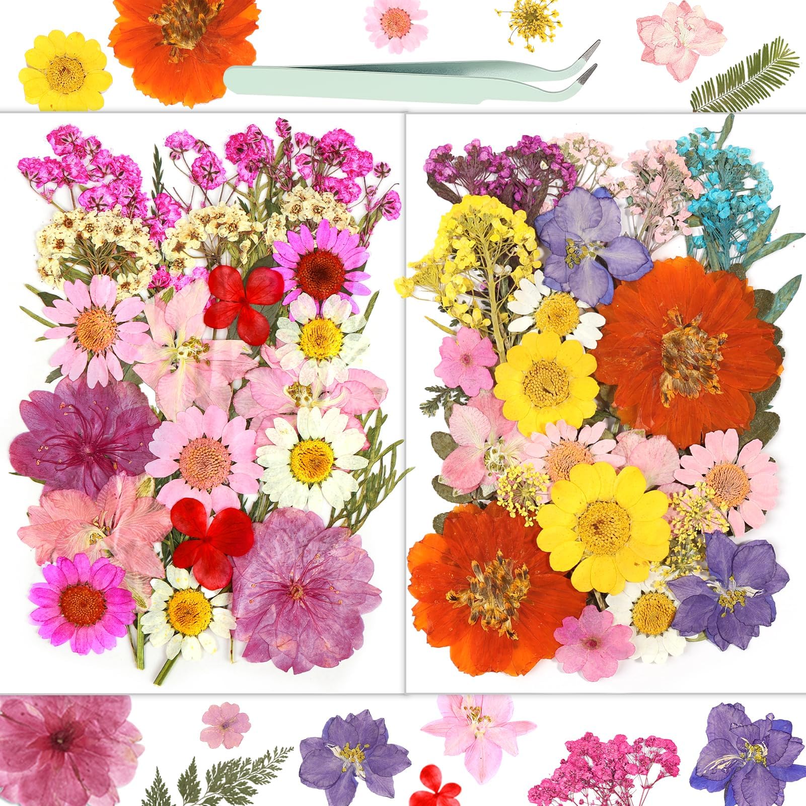 Resiners® 58Pcs Dried Pressed Flowers