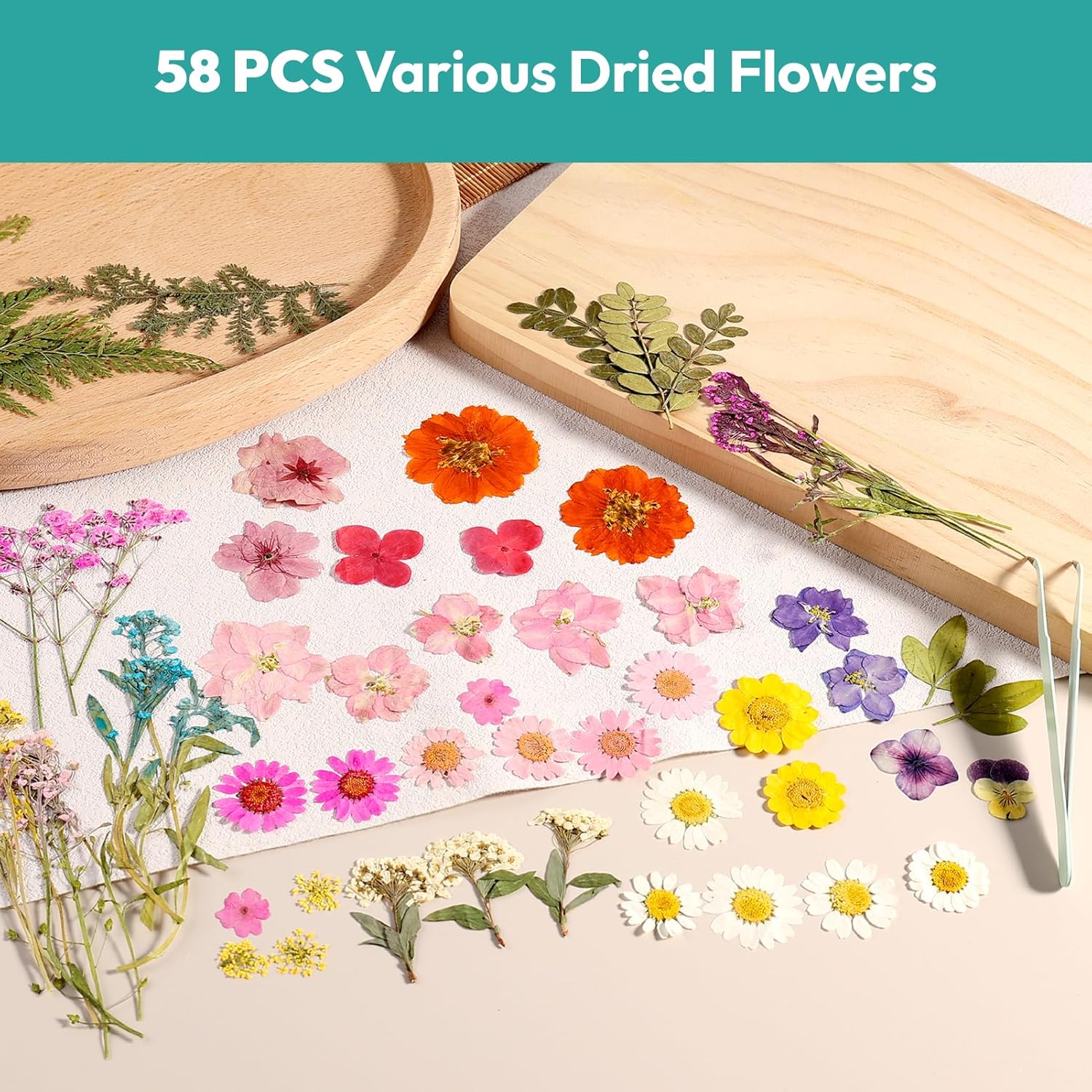 Resiners® 58Pcs Dried Pressed Flowers
