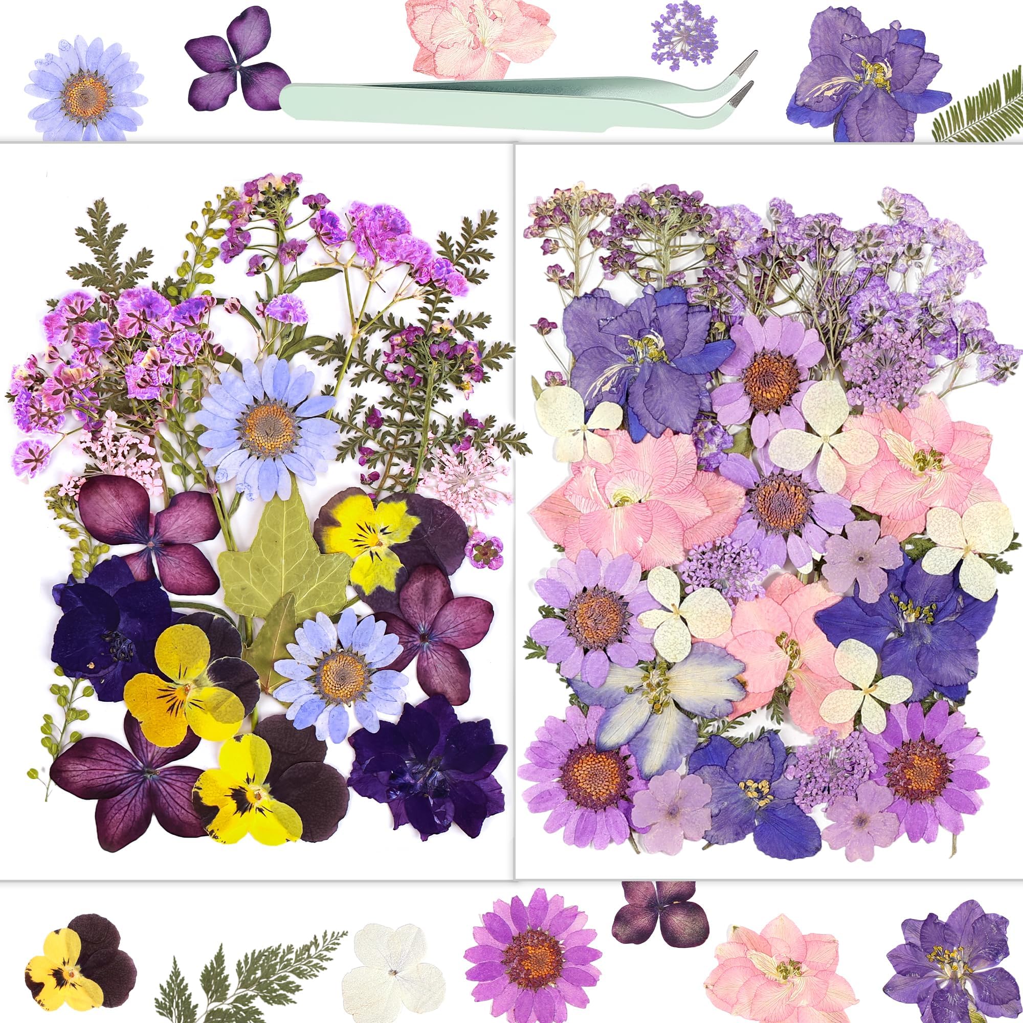 Resiners® 58Pcs Dried Pressed Flowers