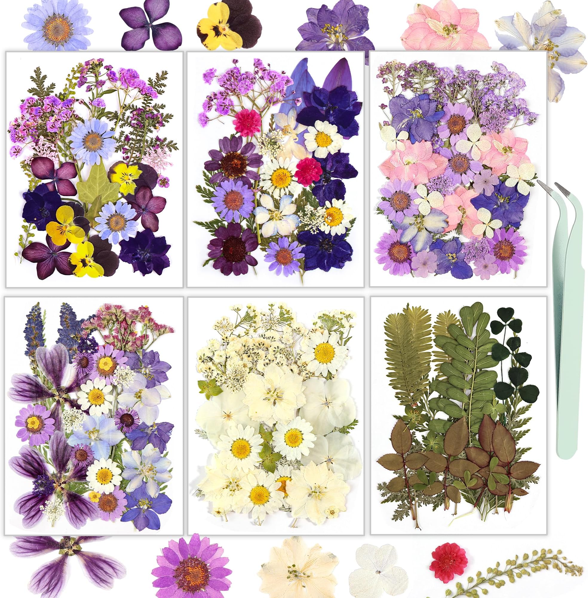 Resiners® 174Pcs Dried Pressed Flowers