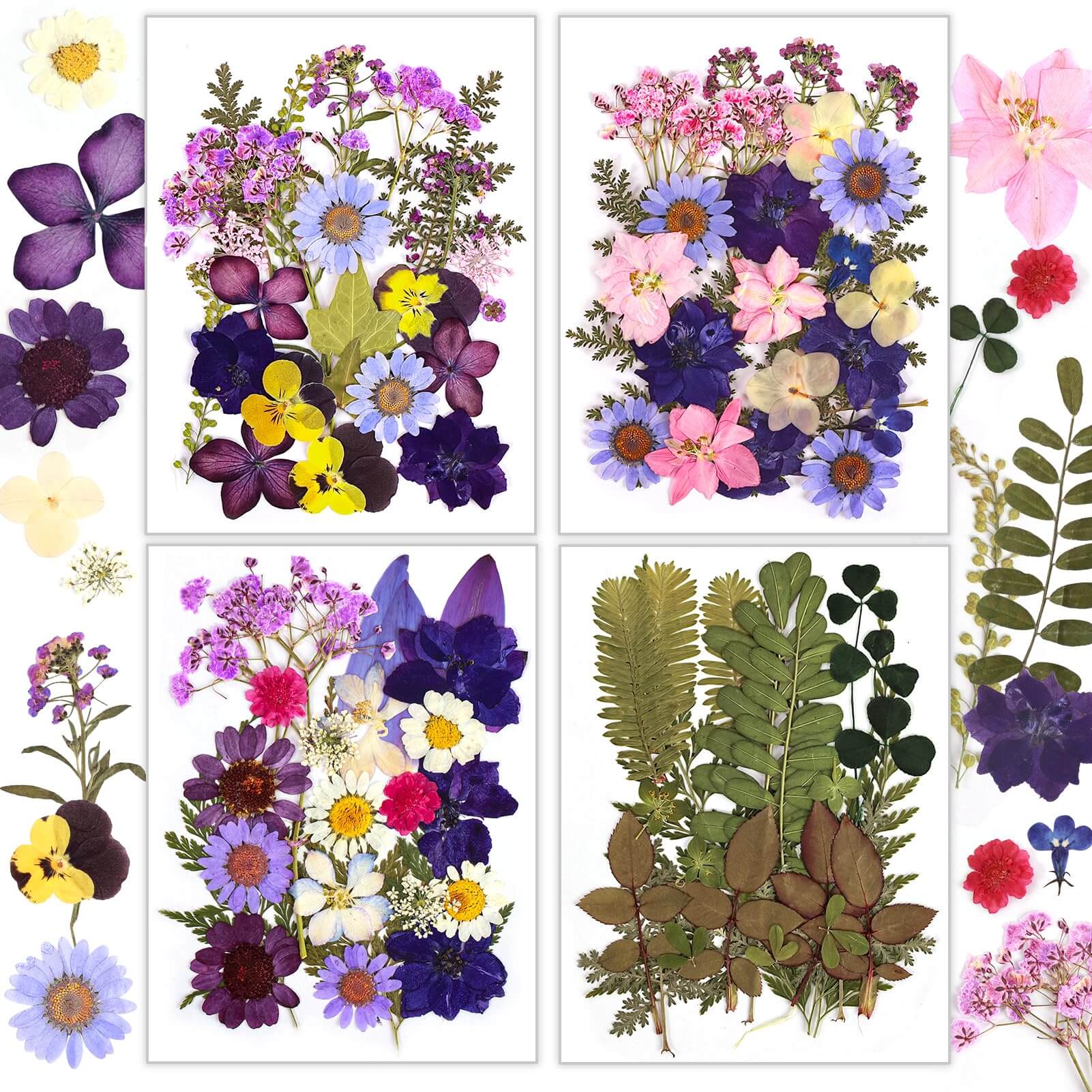 140 Pcs Dried Pressed Flowers for Resin, Real Pressed Flowers Dry Leaves  Bulk