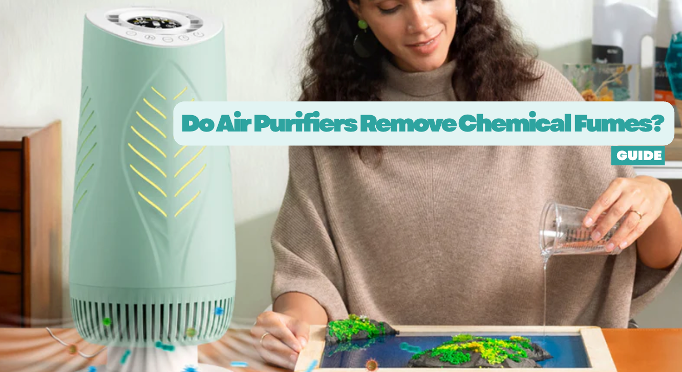 Do Air Purifiers Remove Chemical Fumes? Explained