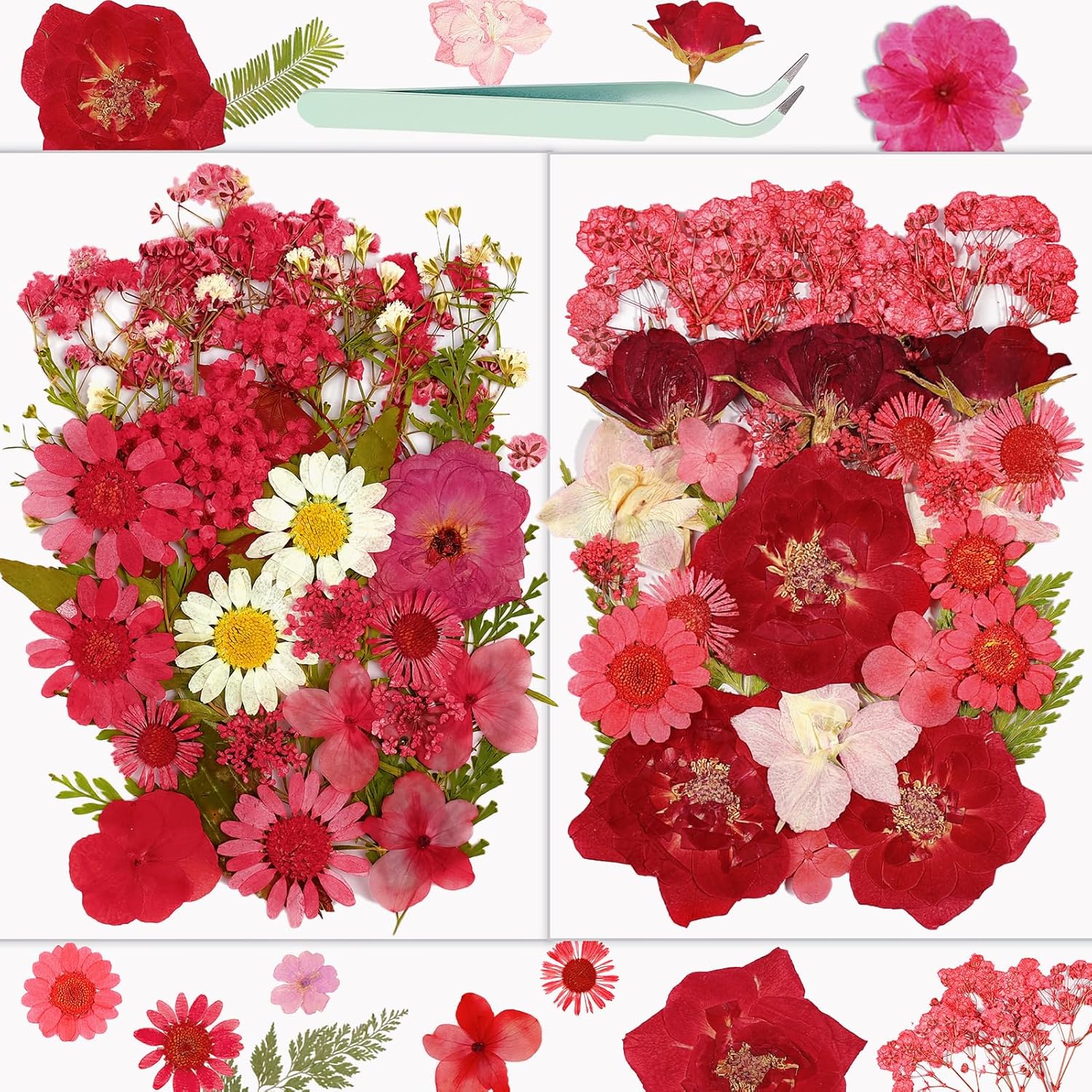 Resiners® 58Pcs Dried Pressed Flowers