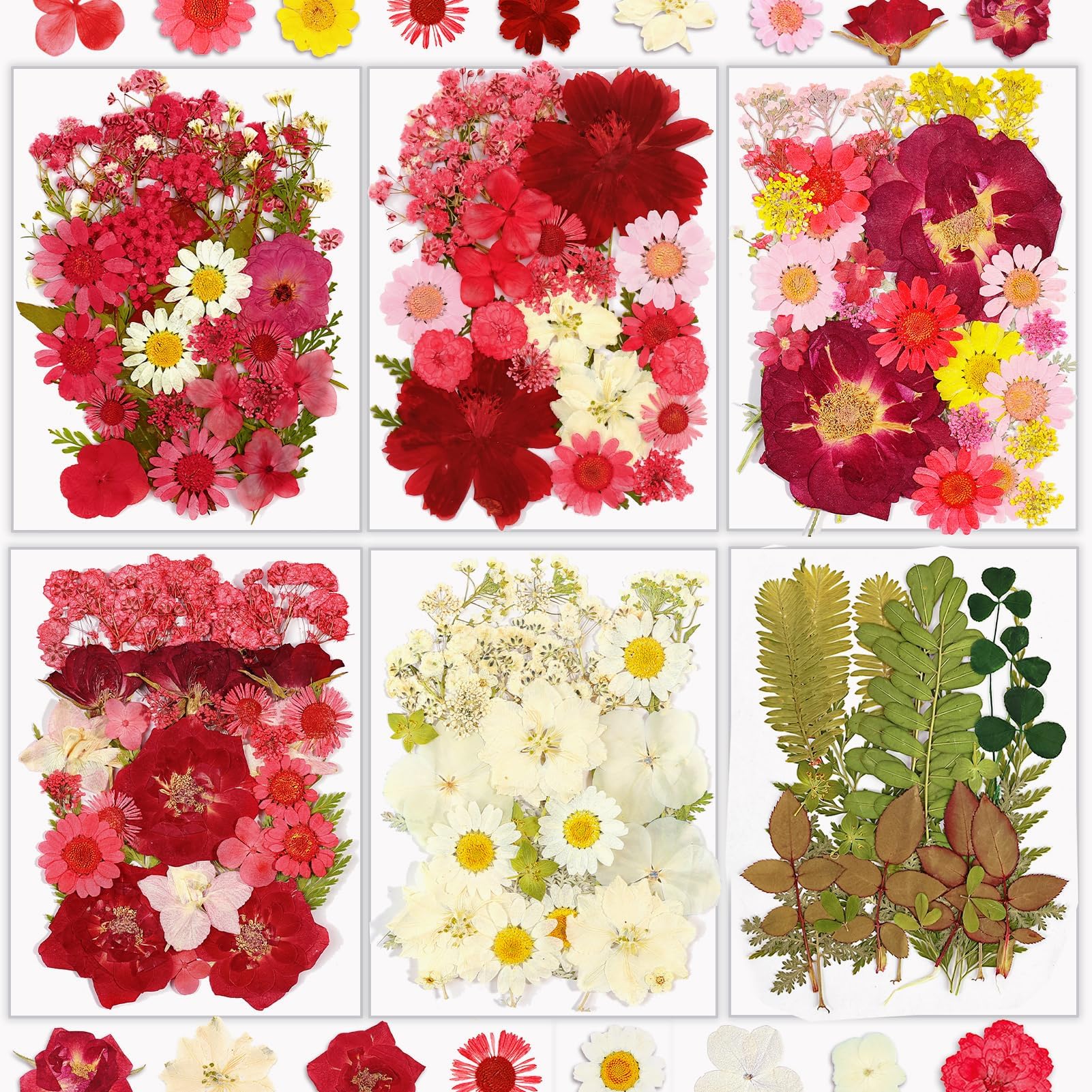Resiners® 174Pcs Dried Pressed Flowers