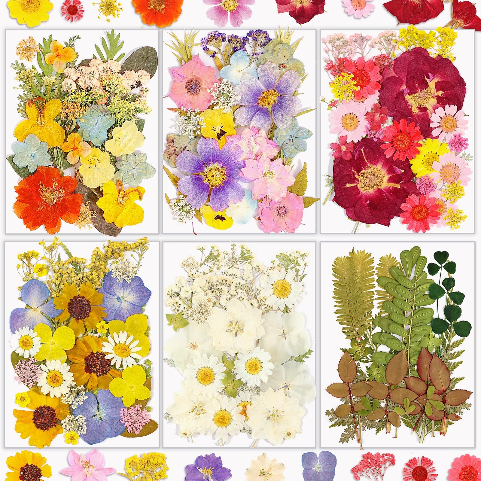 Resiners® 174Pcs Dried Pressed Flowers