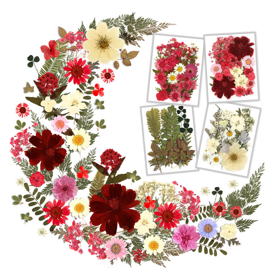 Resiners® 100Pcs Dried Pressed Flowers