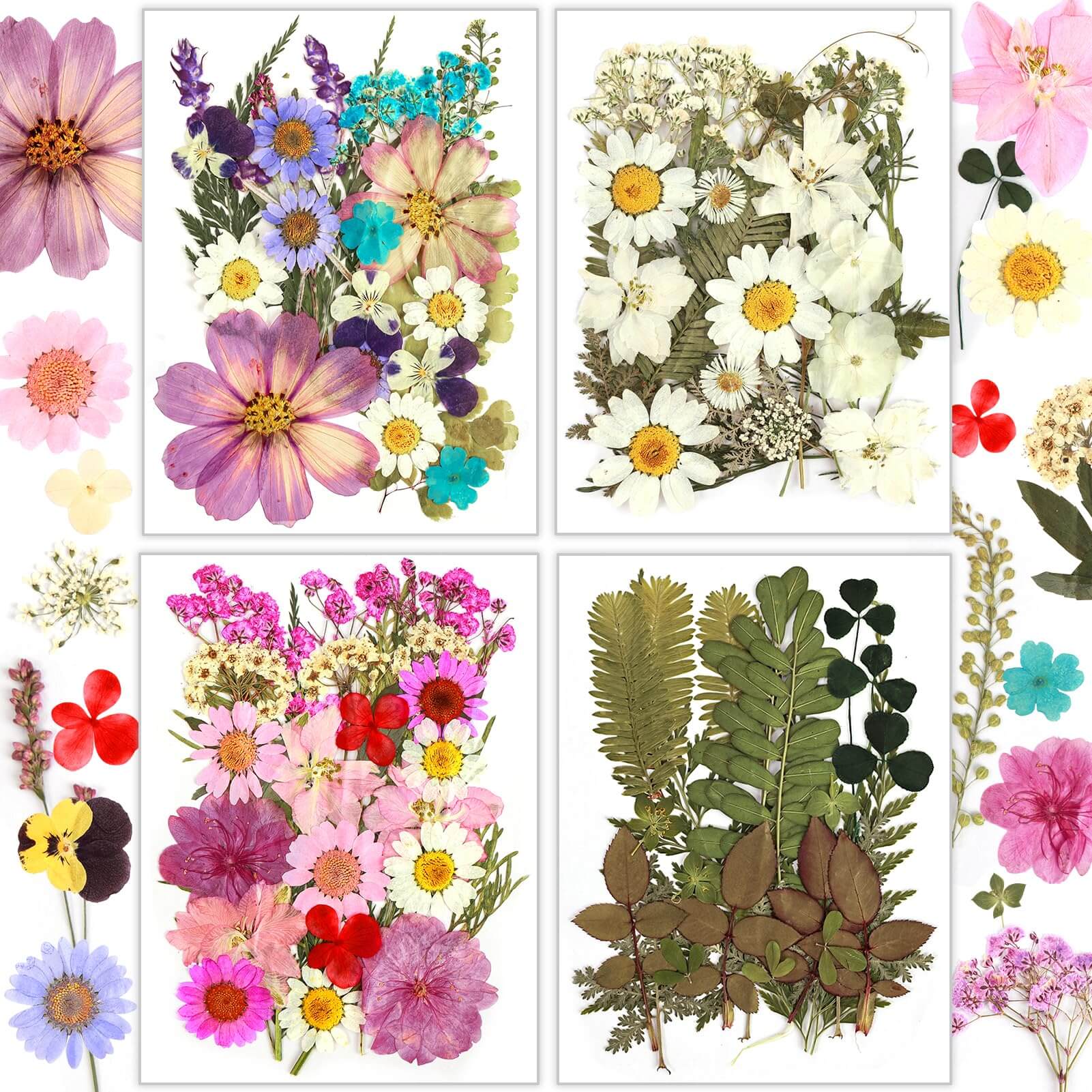 Resiners® 100Pcs Dried Pressed Flowers