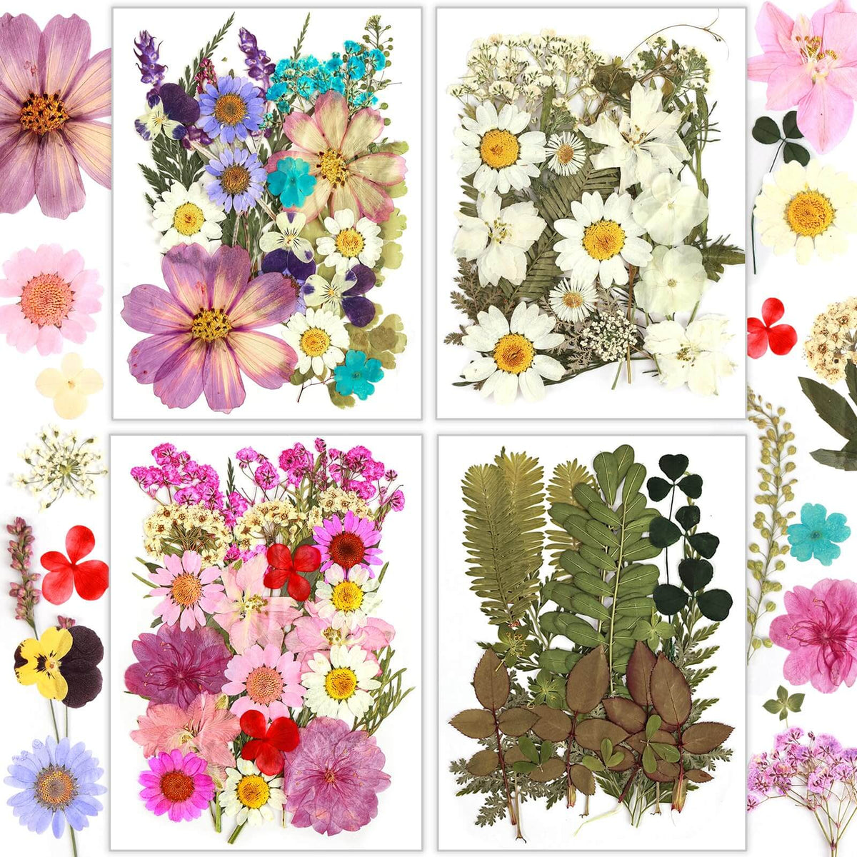 Resiners® 100Pcs Dried Flowers for Resin Molds, Natural Flowers, Real ...
