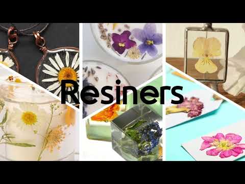 LET'S RESIN Dried Flowers for Resin,85Pcs Natural Dried Pressed